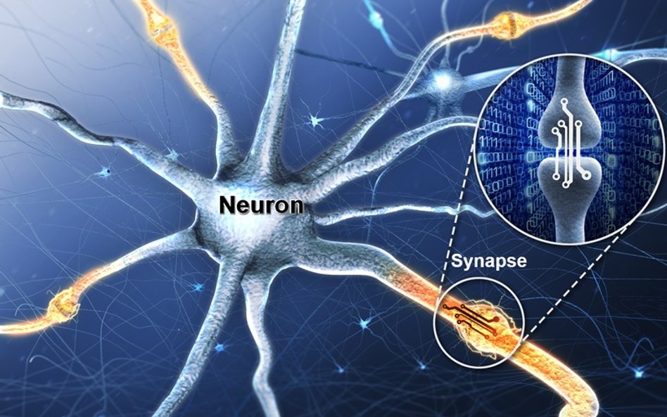 Stworzono urządzenie, które działa jak ludzki mózg