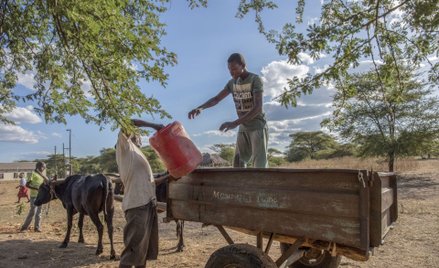 Gorące punkty migracyjne mogą się pojawić już w ciągu najbliższego dziesięciolecia oraz nasilać do 2