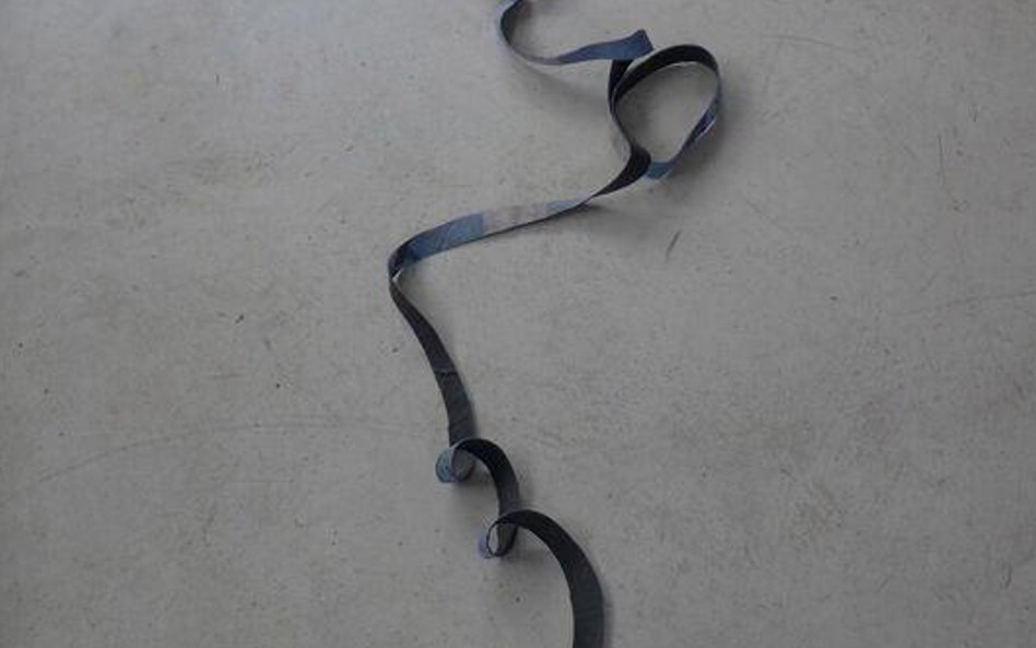 Still Life. Blue [Martwa natura. Niebieska] 2013 Guma/Rubber 190 x 30 x 7 cm Dzięki uprzejmości arty