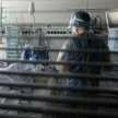 Rosyjski ekspert: Szczyt pandemii koronawirusa minął. Wróci grypa