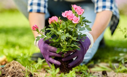 Łukasz Jaśkiewicz: Ogrodnictwo może pomóc zmniejszyć lęk i stres oraz ograniczyć ryzyko występowania