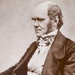 Charles Darwin
