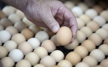 Polskie jaja tracą szansę na lukratywny eksport