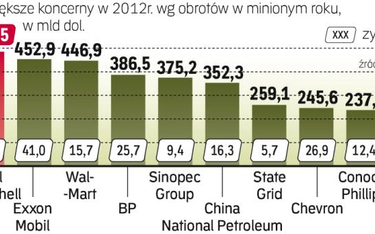 Czołówkę zdominowały spółki paliwowe