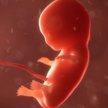 O aborcji nie, o niewolnictwie tak