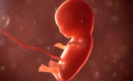 O aborcji nie, o niewolnictwie tak