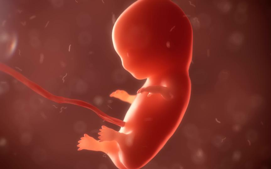 O aborcji nie, o niewolnictwie tak