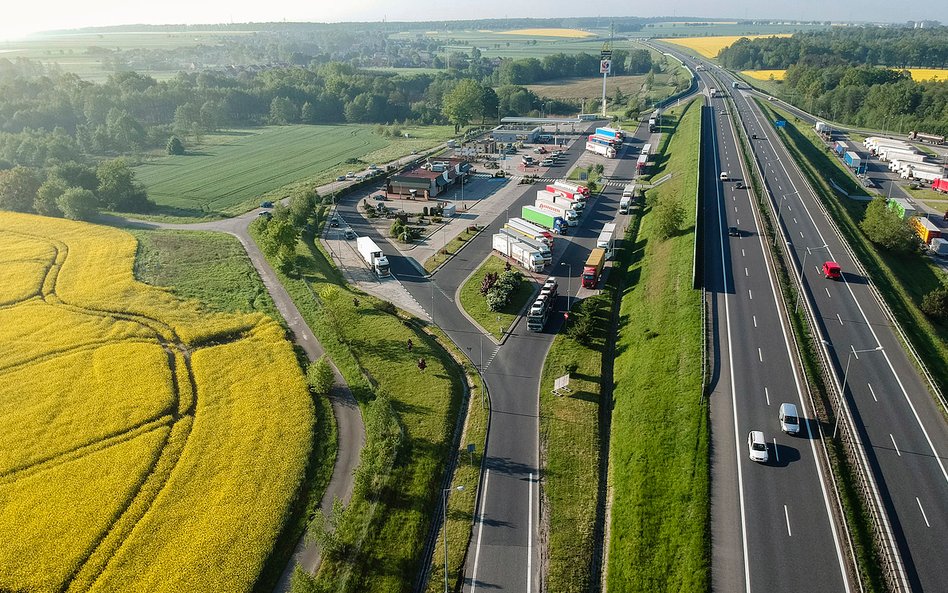 Jaki podatek dla ekologicznych samochodów?