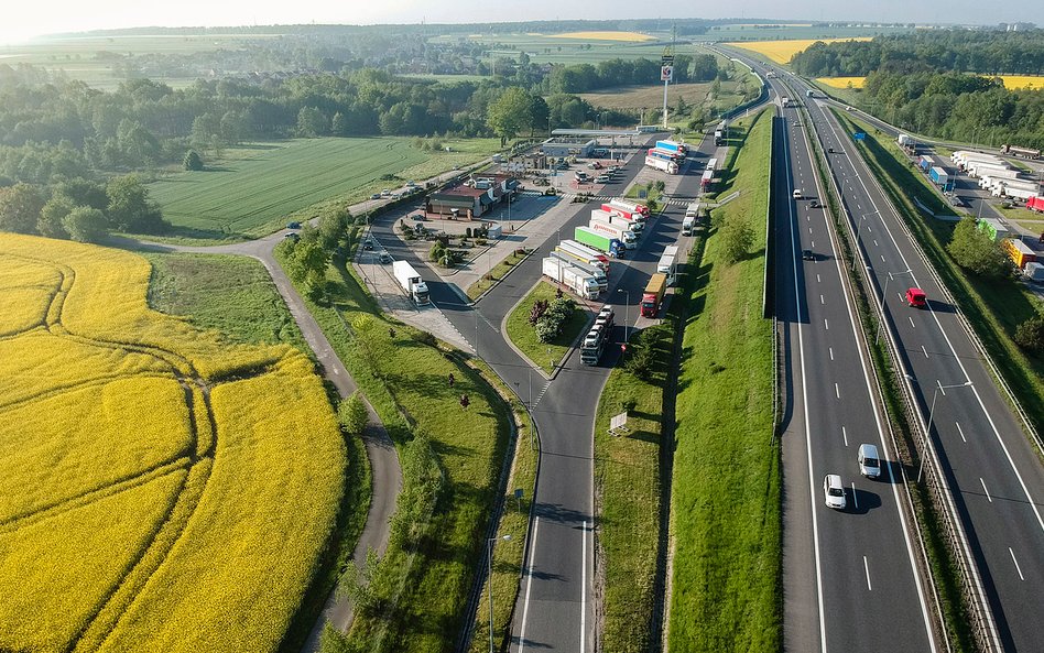 Jaki podatek dla ekologicznych samochodów?