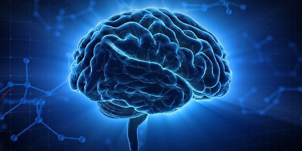 Od nikotyny po alzheimera. Nowy model receptorów może zmienić badania nad mózgiem