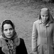 Ida