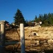 Fałszywy amfiteatr miał być dziełem starożytnych Greków. Właściciel zbudował go sam