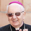 Abp Stanisław Budzik: Temat pedofilii w Kościele nie był z papieżem poruszany