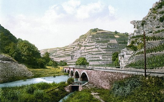 "Winnice dolina Ahr"