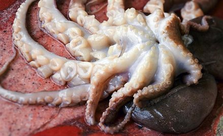 Ośmiornice zdaniem miłośników surowej żywności najlepiej smakują kilka sekund po uśmierceniu