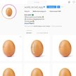 Jajko z Instagrama powróciło. Teraz będzie pomagać