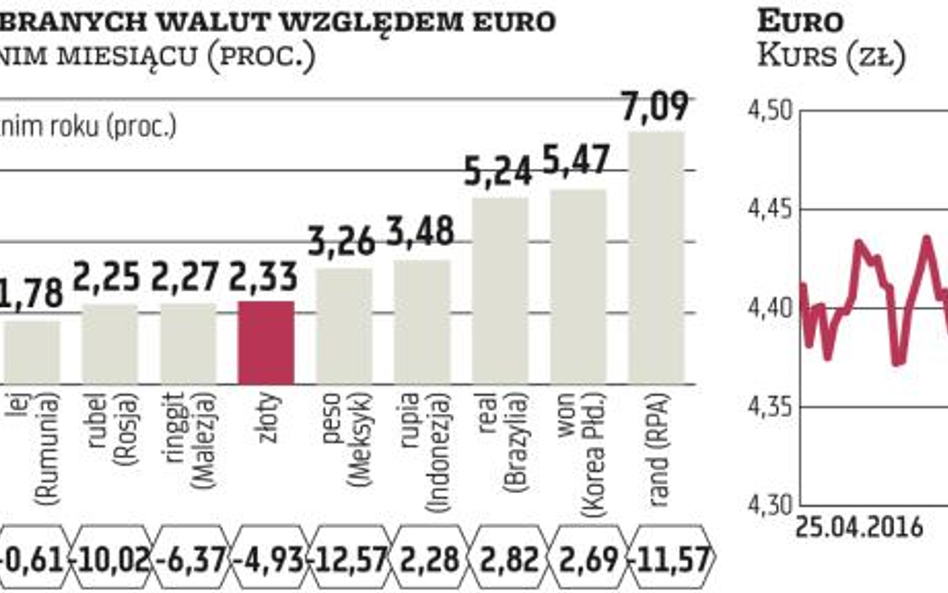 Złoty znów popadnie w niełaskę inwestorów?