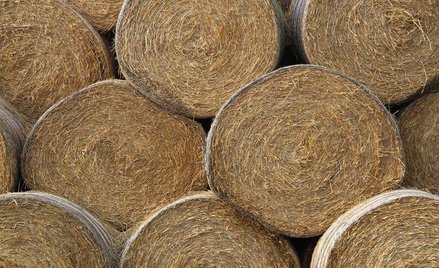 Remanent: jak ująć balot słomy w spisie z natury?