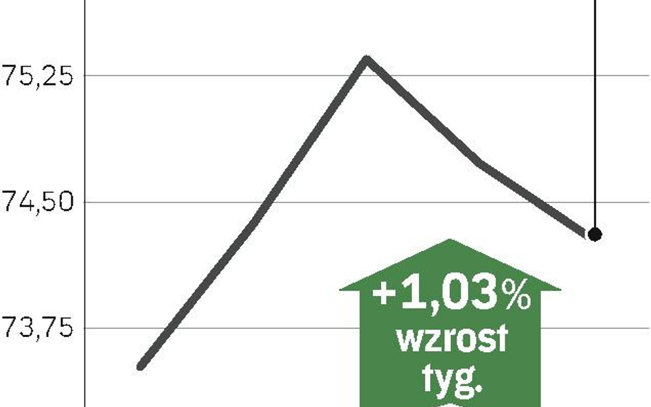 Zapasy hamują wzrost cen