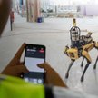 Robo-pies pracuje na budowie. Nie przyjdzie po podwyżkę