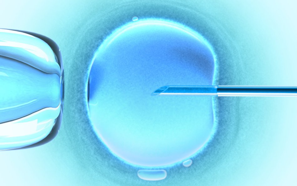 Ruszył program in vitro. Komu państwo zafunduje leczenie niepłodności?
