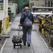 NBP: Badanie koniunktury w sektorze przedsiębiorstw