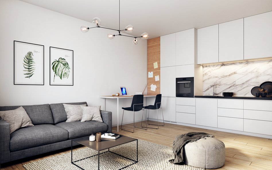 W 2025 r. wartość udzielonych pożyczek mieszkaniowych przebije 100 mld zł. Największą zagadką pozost