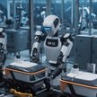 Skoro technologia może zastępować brakujących pracowników, o przyszłym zapotrzebowaniu na pracę nie 