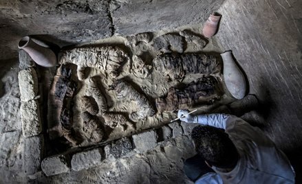 Egipt: Odkryto dziesiątki zmumifikowanych kotów