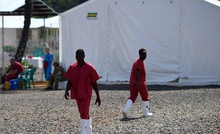 Świat wygrywa z ebolą