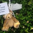Pluszowe misie kontra generałowie Łukaszenki