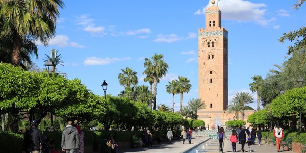 Afryka przyspiesza cyfrowo. To szansa dla polskich firm