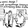 Komentarz rysunkowy. Porządny kryzys