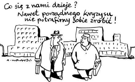 Komentarz rysunkowy. Porządny kryzys