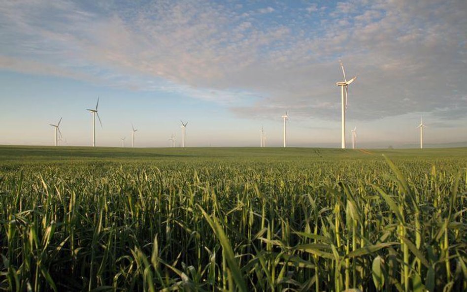 Polsce grożą eko-kary