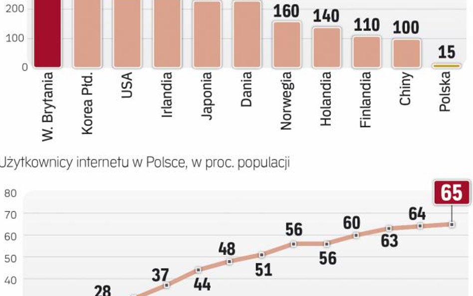 Internauci szukają nowych rozwiązań