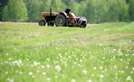 Budżet wyręcza rolników
