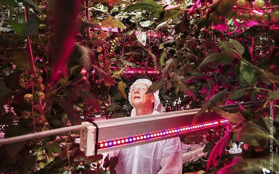 Luca Locatelli, "Hunger Solutions"