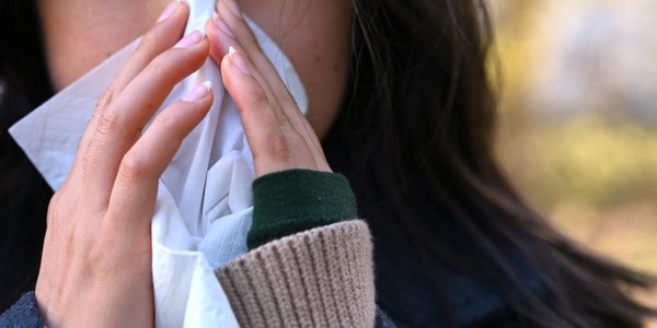 Sezon pylenia w Europie się zmienia. Zła wiadomość dla alergików