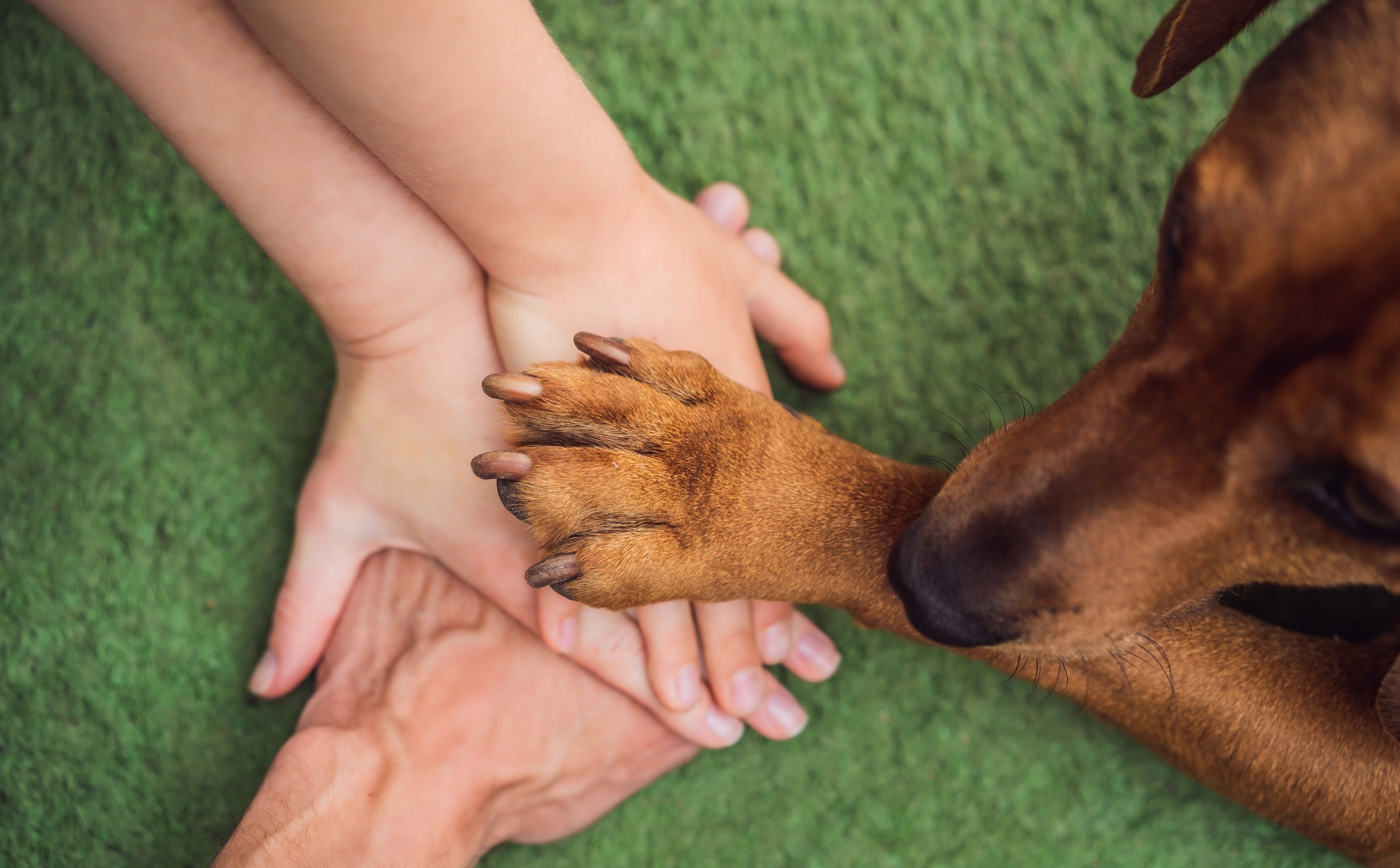 Kalendarium - wtorek 29 kwietnia