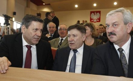 Jeśli działacze nie odwołają Janusza Piechocińskiego w lipcu, potem długo nie będzie okazji do takie