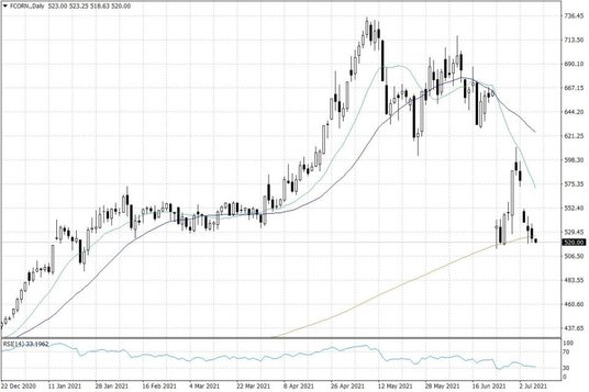 Notowania kukurydzy w USA – dane dzienne
