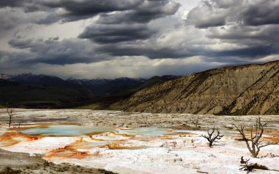 Park Narodowy Yellowstone (Fot. Mila Zinkova)