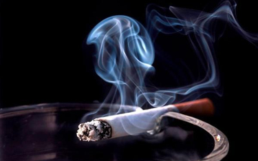 Polska traci miliardy przez nielegalny tytoń