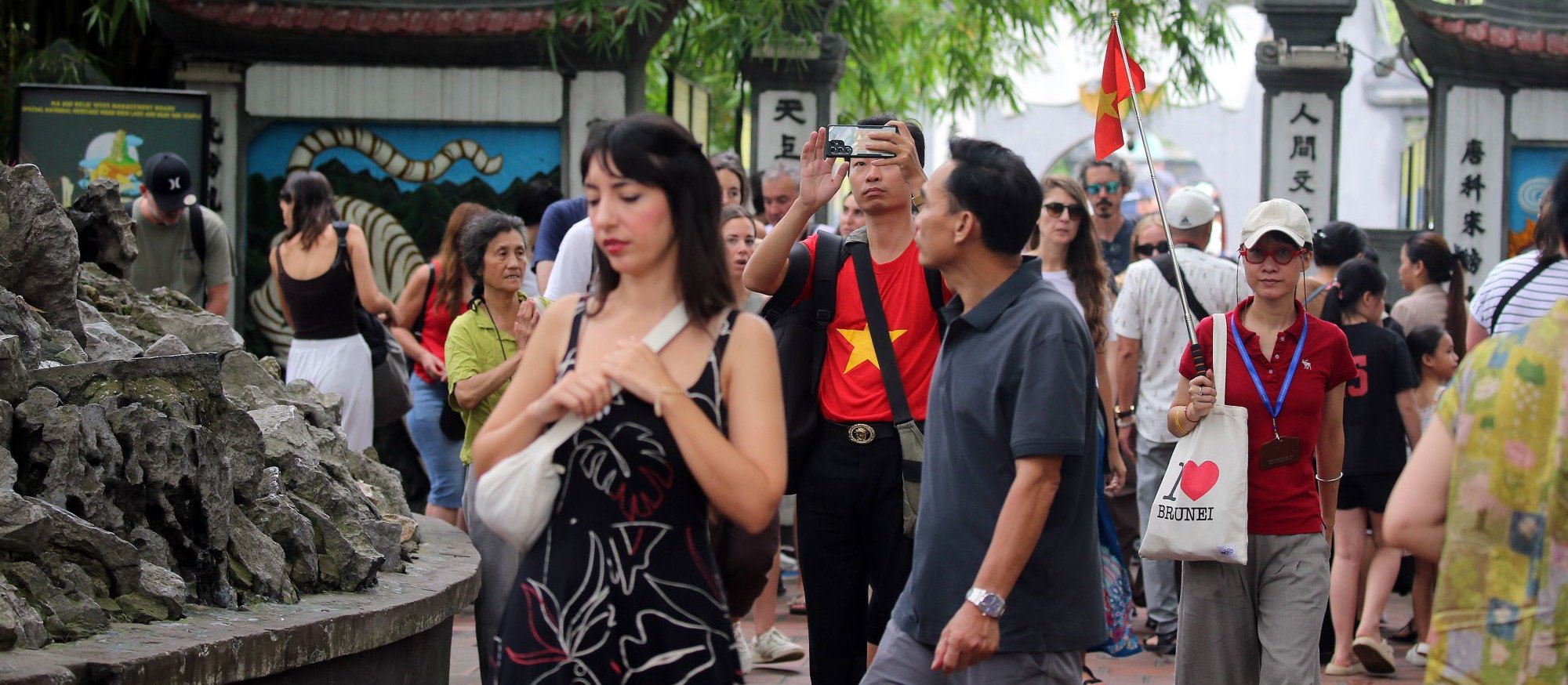 Tourist, are you going to Vietnam? You will request   to submit a wellness  declaration