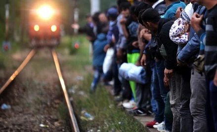 Imigranci z Azji czekają w Macedonii na pociąg, który przybliży ich do Węgier