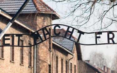 Zdaniem dr. Polloka w Auschwitz po wojnie działał jeden z polskich obozów koncentracyjnych.