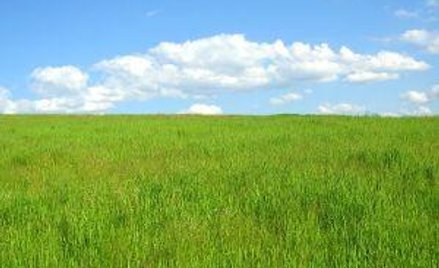 Kupując grunt, zapłacisz cenę z VAT czy PCC