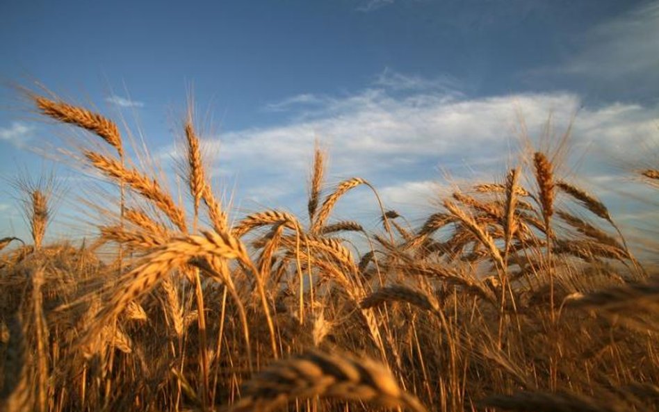 Nowe zasady ubezpieczeń upraw rolnych