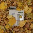 Kasy fiskalne dla prawników i lekarzy nawet z małymi obrotami